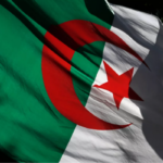 Algerian demonstrator holding the national flag during a political protest in Algiers.