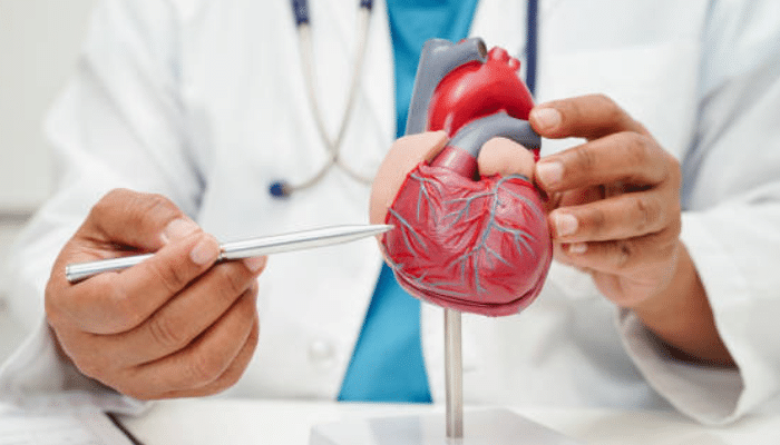 Human heart illustration showing healthy arteries and effects of lifestyle on heart health.